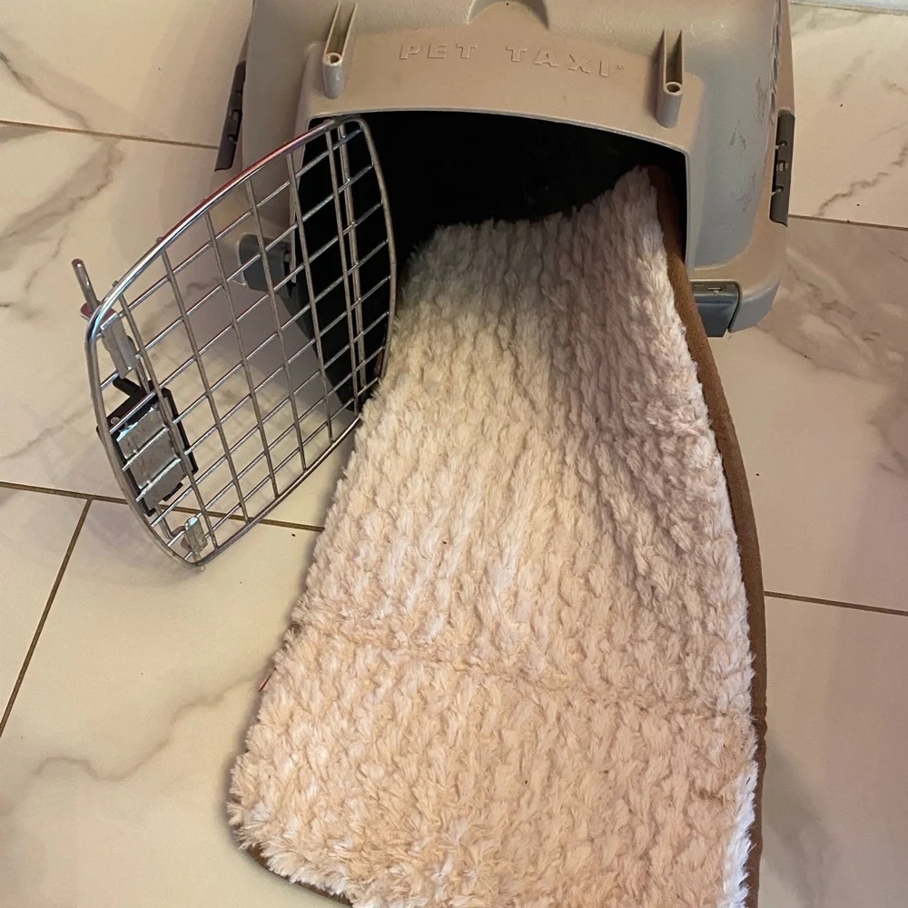 Pet Taxi Travel Kennel Carrier